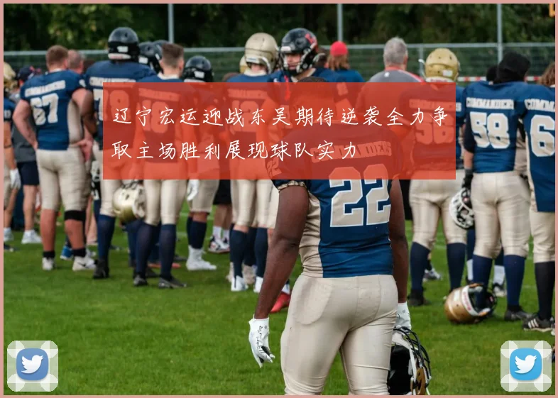 辽宁宏运迎战东吴期待逆袭全力争取主场胜利展现球队实力