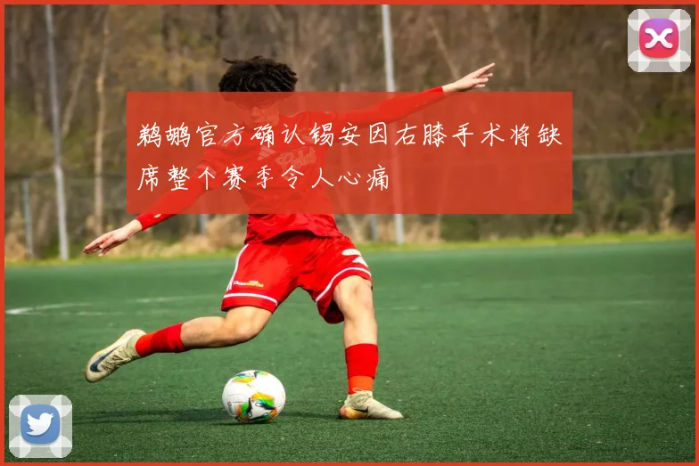 鹈鹕官方确认锡安因右膝手术将缺席整个赛季令人心痛