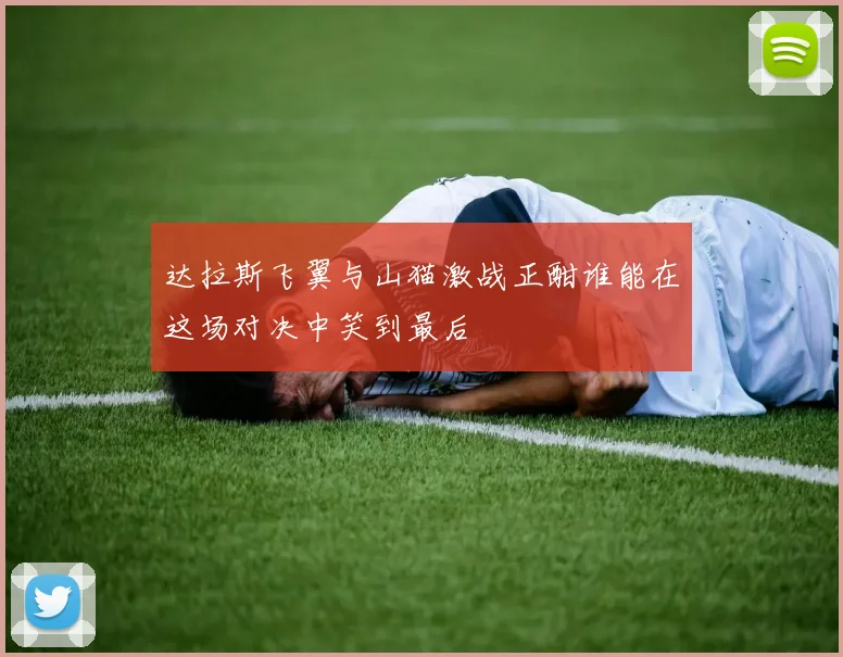 达拉斯飞翼与山猫激战正酣谁能在这场对决中笑到最后